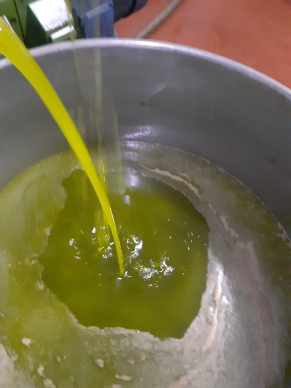 Olio EVO Prima Spremitura