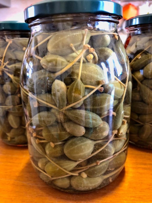 Cucunci di capperi in agrodolci