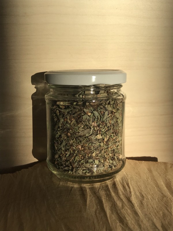 Origano selvatico in vaso 