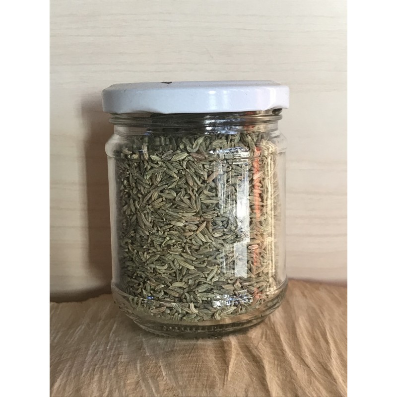 Finocchietto selvatico in vaso