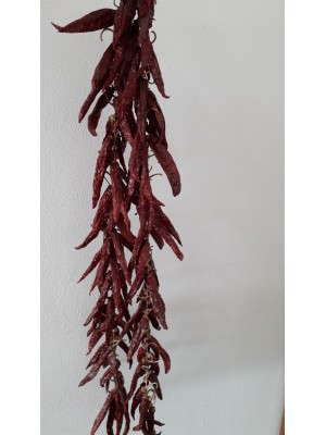 Peperoncino "amante" a filaro