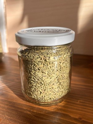 Finocchietto selvatico in vaso